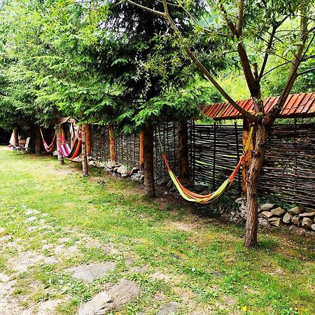 Cabana Frasin Dragoslavele Bagian luar foto