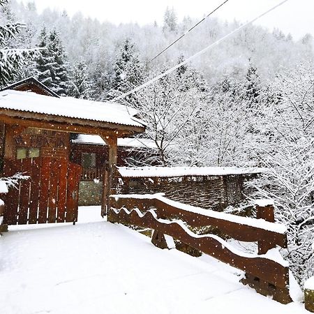 Cabana Frasin Dragoslavele Bagian luar foto