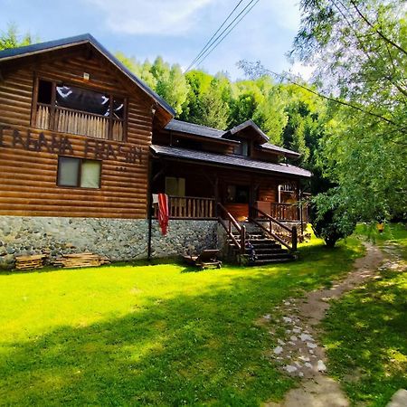 Cabana Frasin Dragoslavele Bagian luar foto