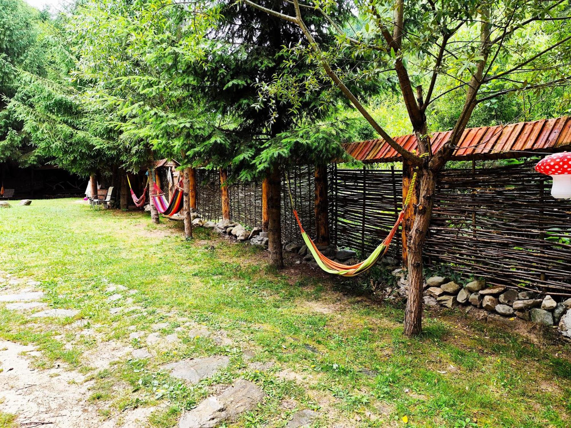 Cabana Frasin Dragoslavele Bagian luar foto