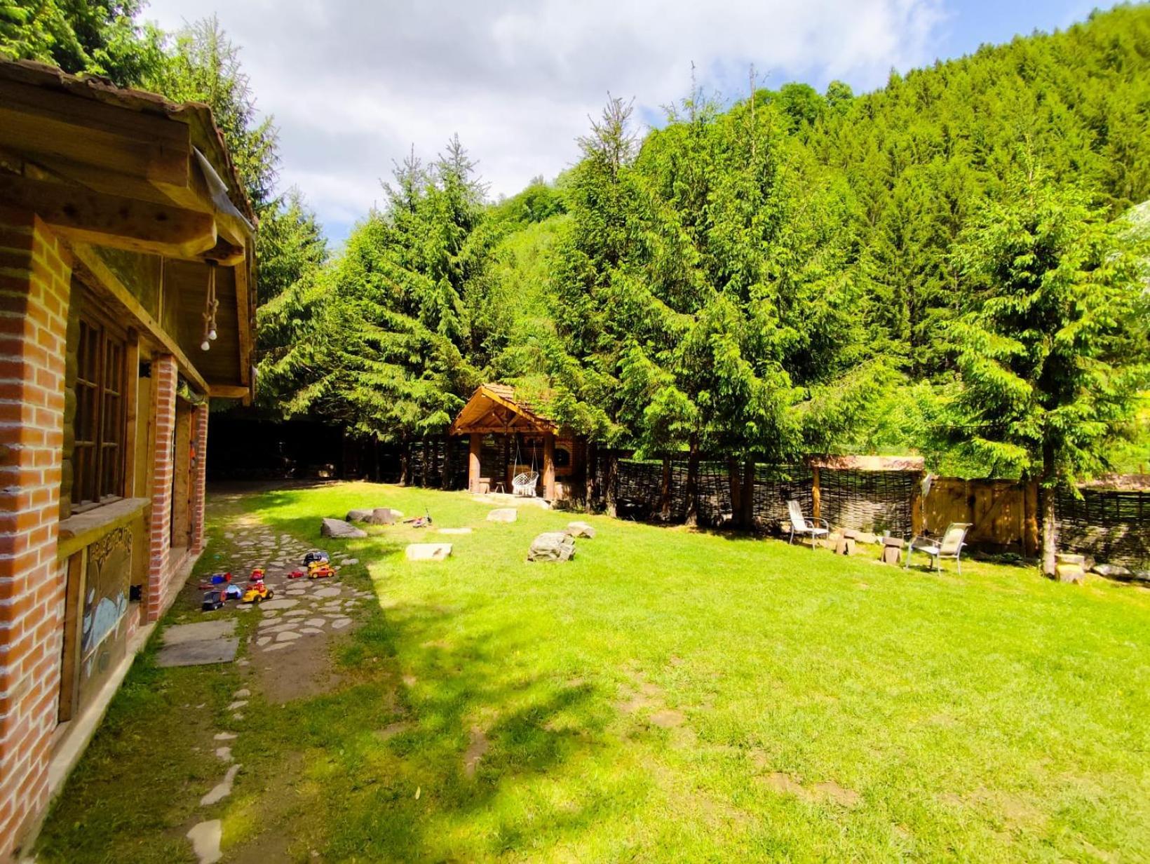 Cabana Frasin Dragoslavele Bagian luar foto
