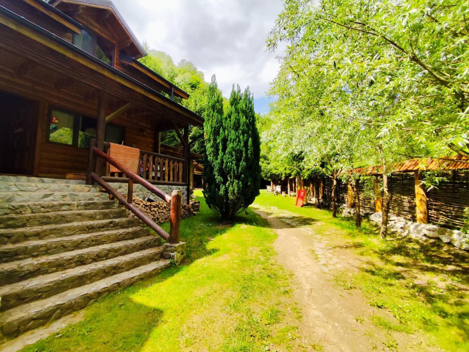 Cabana Frasin Dragoslavele Bagian luar foto