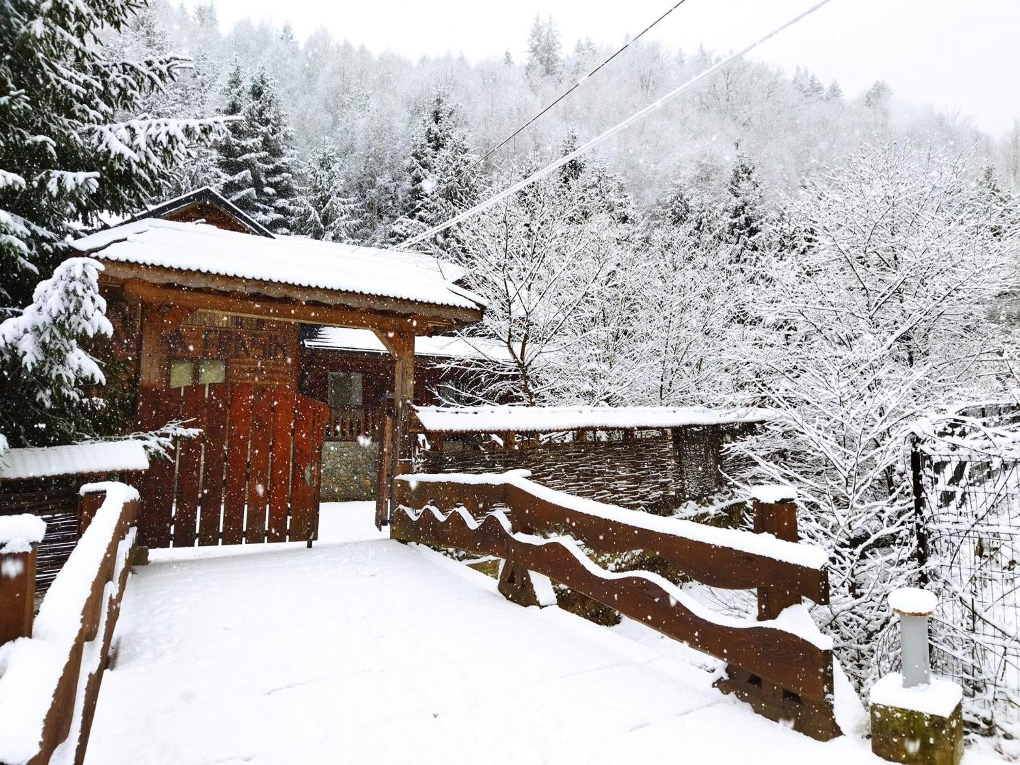 Cabana Frasin Dragoslavele Bagian luar foto