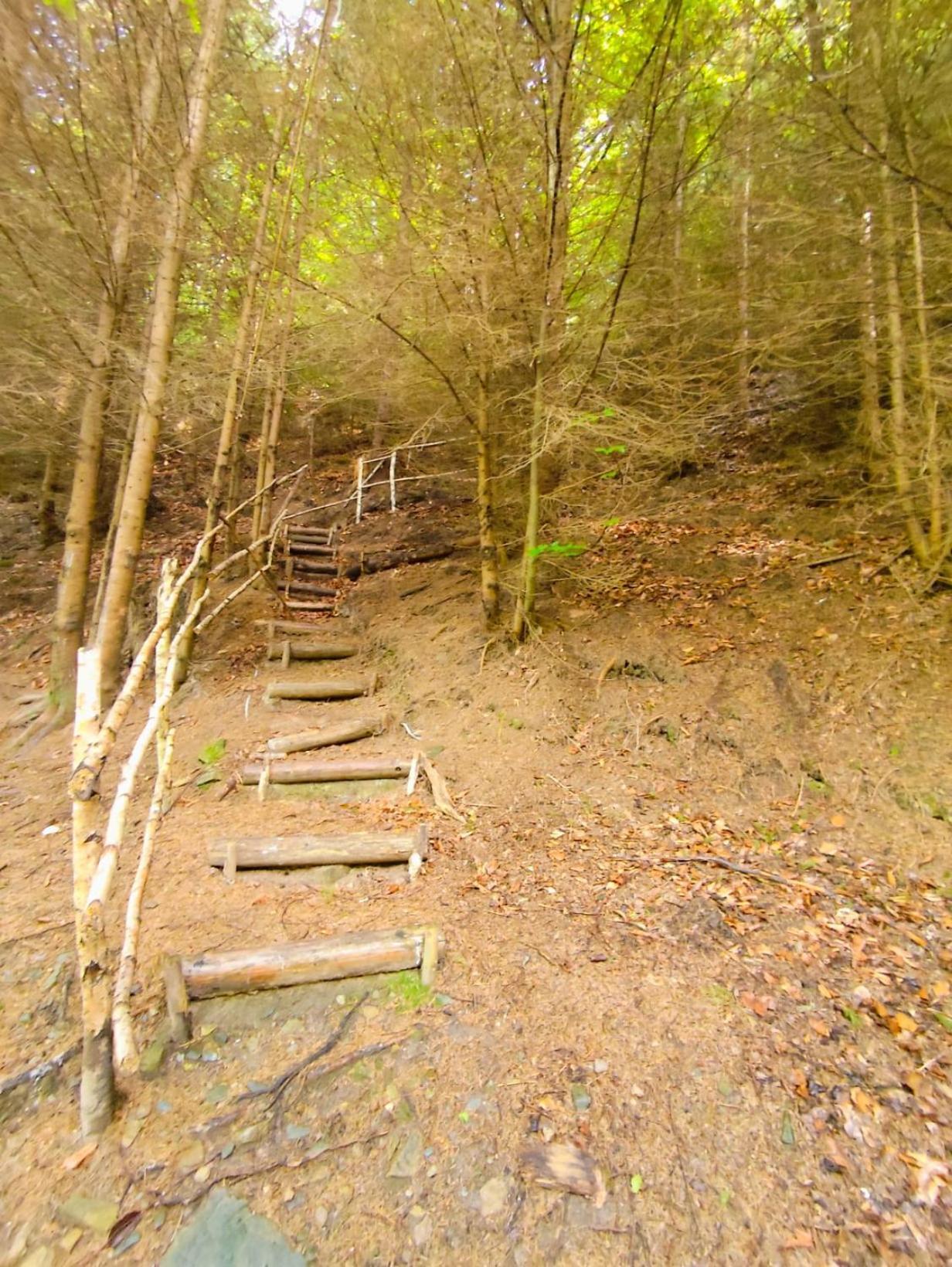 Cabana Frasin Dragoslavele Bagian luar foto