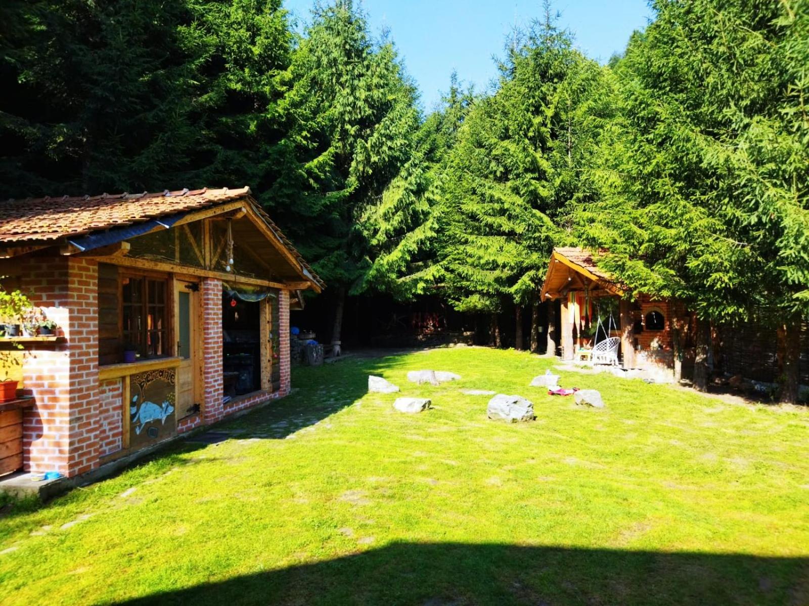 Cabana Frasin Dragoslavele Bagian luar foto