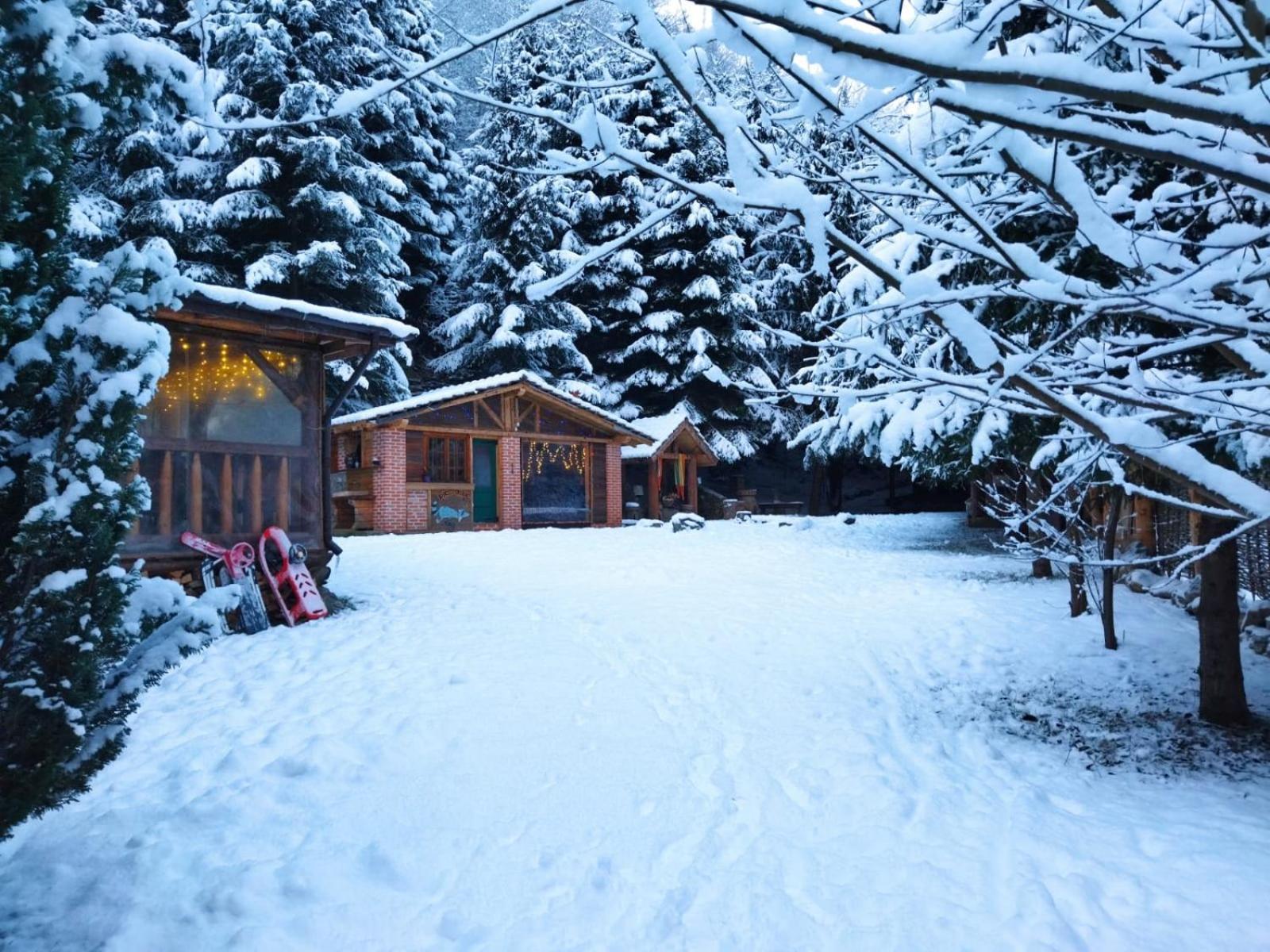 Cabana Frasin Dragoslavele Bagian luar foto
