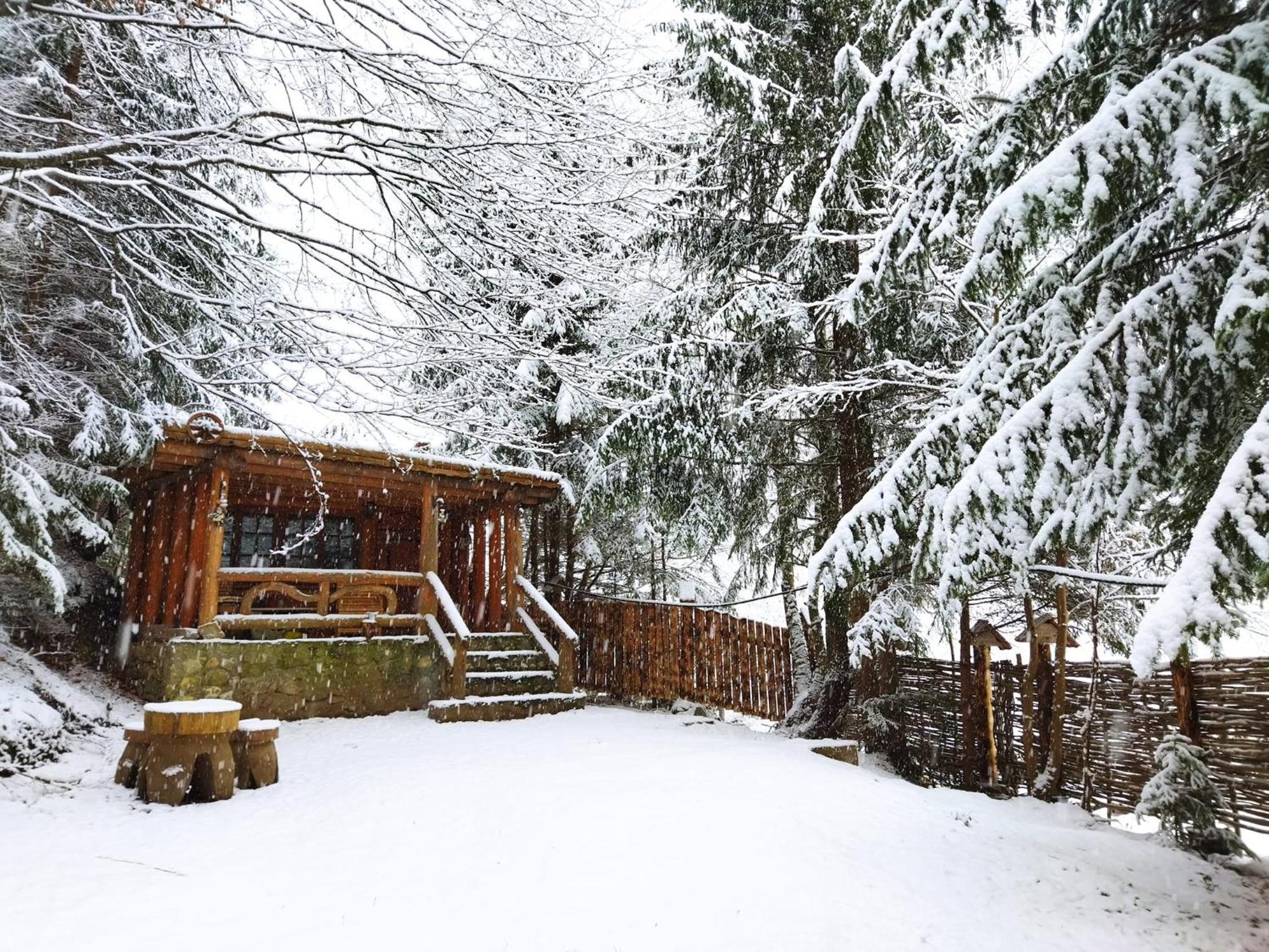 Cabana Frasin Dragoslavele Bagian luar foto
